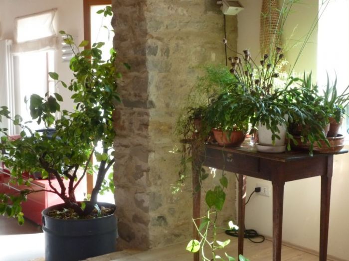 Archisio - Luca Docci - Progetto Ristrutturazione casa di campagna