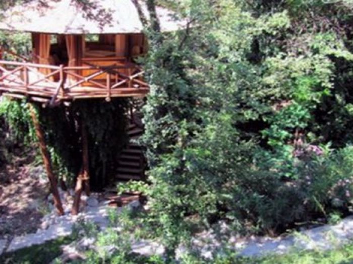 Archisio - Casalberi - Progetto Treehouse spa