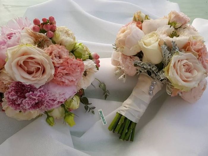 Archisio - Massarroni - Vivai Piante - Garden - Progetto Vivai e piante