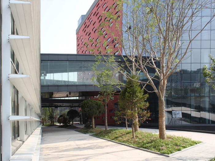 Archisio - Roberto Pellino - Progetto Architettura