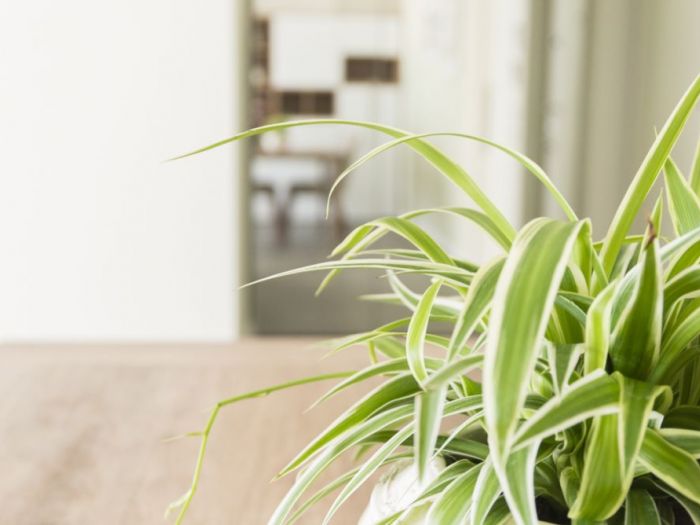 Archisio - Gilardi Interiors On Staging - Progetto Convivialit e comodit sono le parole dordine per questo living