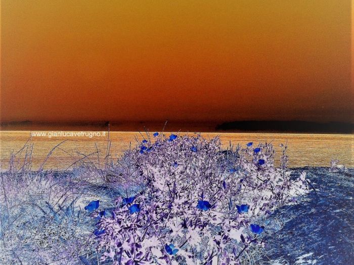 Archisio - Gianluca Vetrugno Meltem Kosan the Art Of The Negative - Artisti - Progetto Galleria 2 paesaggi