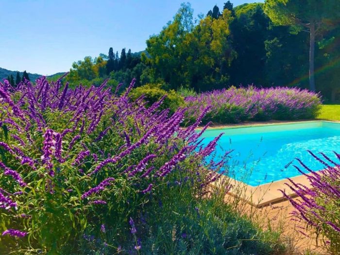 Archisio - Claudia Dibbe Piazza - Progetto Storica dellarte ed ingegnere agronomo Paesaggismo e home decor counselling