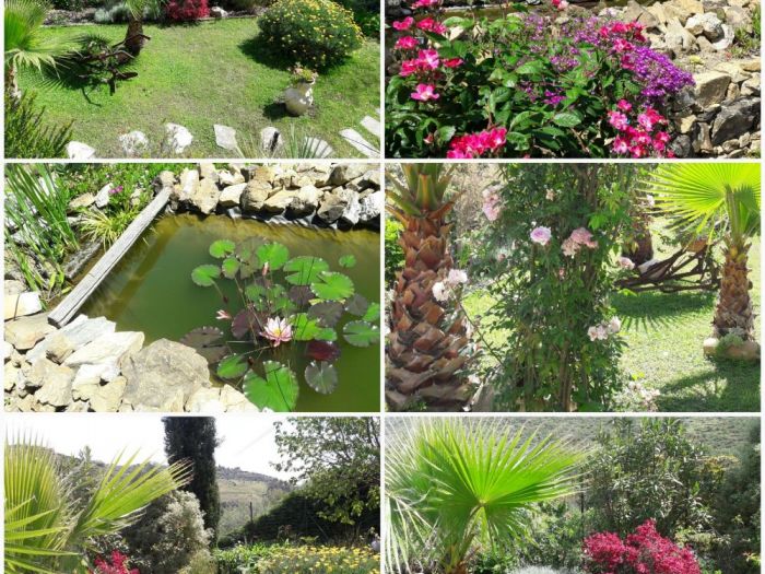 Archisio - Ester Dagostino - Progetto Giardino privato