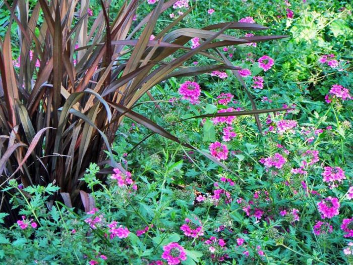 Archisio - Tindara Crisafulli - Progetto Oltre la cornice