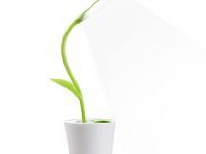 Archisio - Lampadario Design - Progetto Illuminazione interni