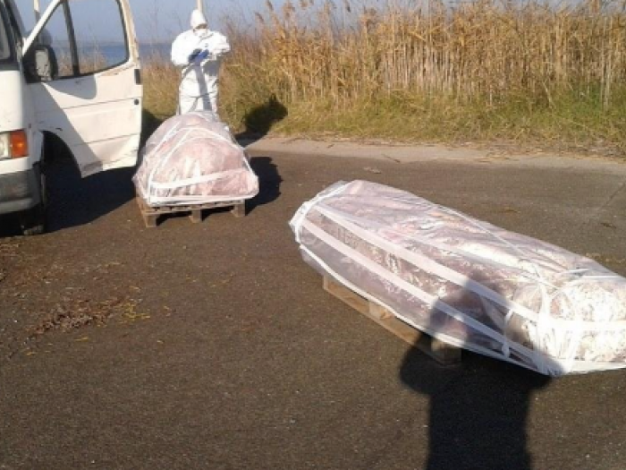 Archisio - Tecna - Progetto Bonifica ammianto