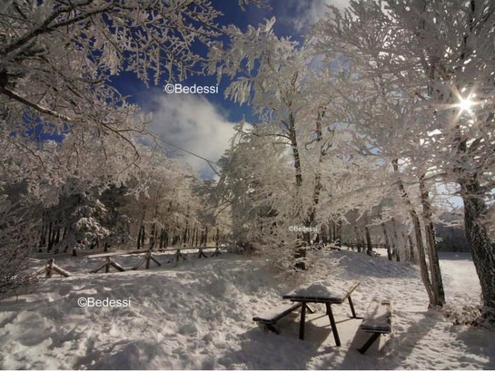 Archisio - Puntofoto Multimedia - Progetto Servizi fotografici