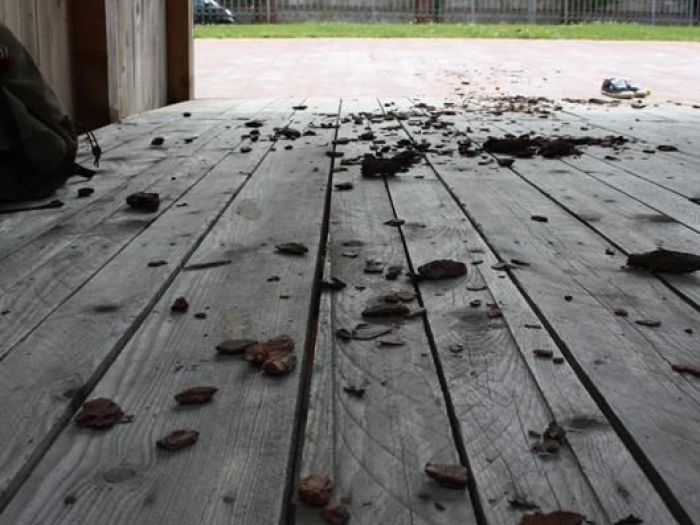 Archisio - Massimiliano Spadoni - Progetto Abitare minimo