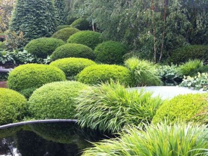 Archisio - Carlo Maria Maggia - Progetto Giardini