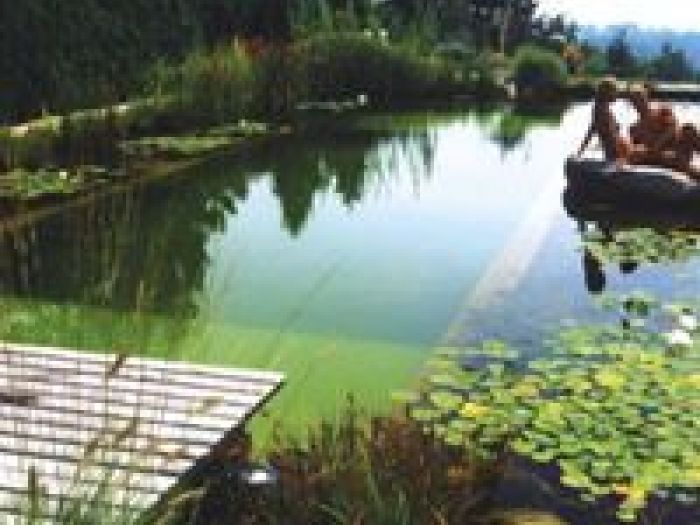 Archisio - Arqtropa Studio - Progetto Piscine naturali e vegetazione acquatica
