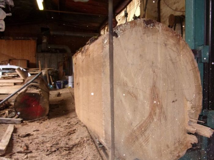 Archisio - Falegnameria Ferruzzi - Progetto Segheria