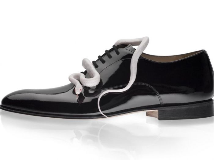 Archisio - Fabrizio Nannini Photography - Progetto Natura morta