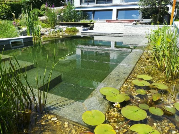 Archisio - Arqtropa Studio - Progetto Biopiscina