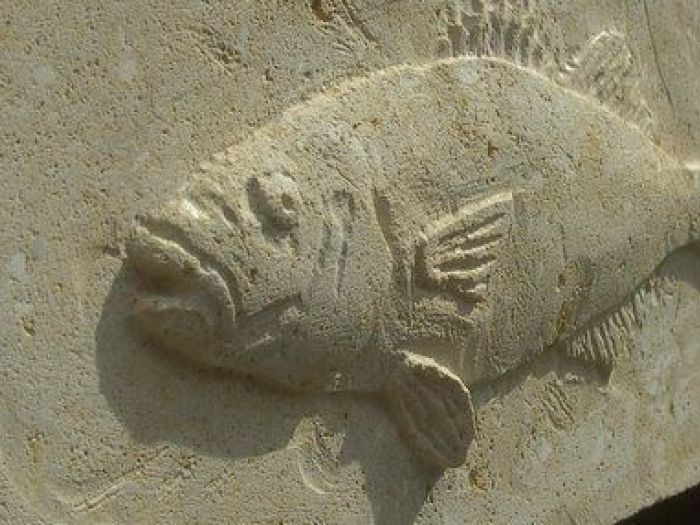 Archisio - Sadepa Marmi - Progetto Abitazioni e negozi