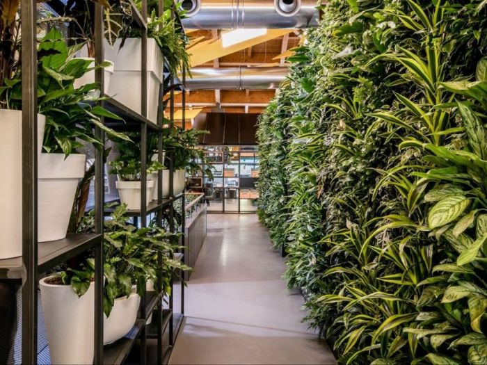 Archisio - Alessia Fuda - Progetto The garden