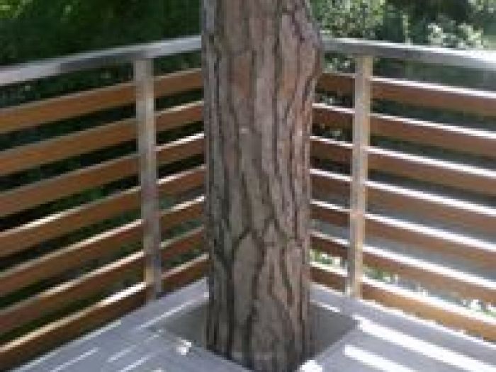 Archisio - Studio X3 Architettura - Progetto Raggio di levante