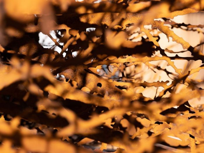 Archisio - Studio Cc - Progetto Le regole