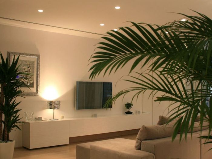 Archisio - Vincenzo Bafunno - Progetto Casa plaza