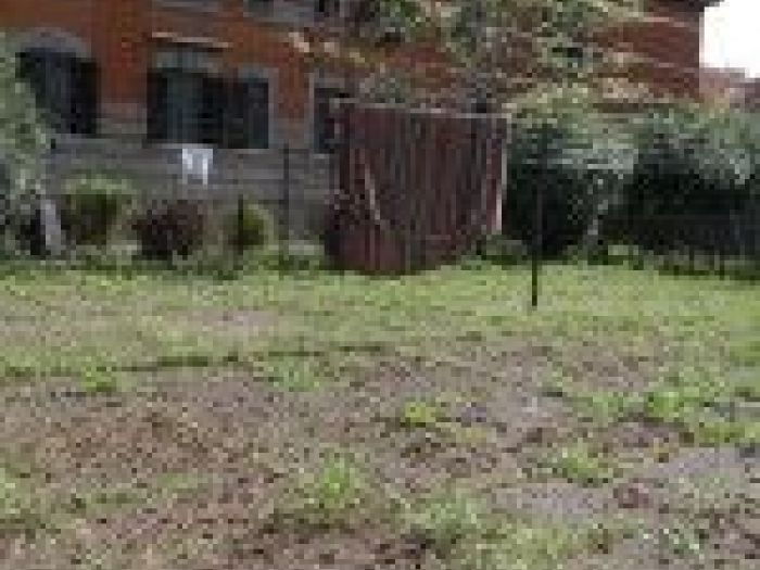 Archisio - Mageris srl - Progetto Pulizie giardini via casilina