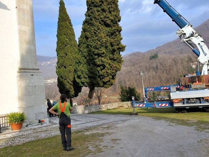 Archisio - Il Dottore Del Verde Di Bruno Barnaba - Progetto Abbattimento cedro monumento sisma 1976
