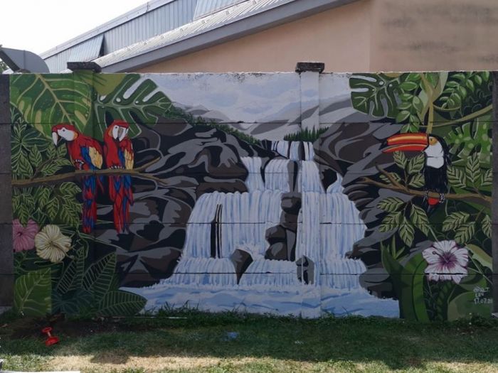 Archisio - Anaebasta - Progetto Natura jungle