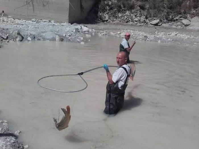 Archisio - New System Service Soc Cons Arl - Progetto Manutenzione opere pubbliche