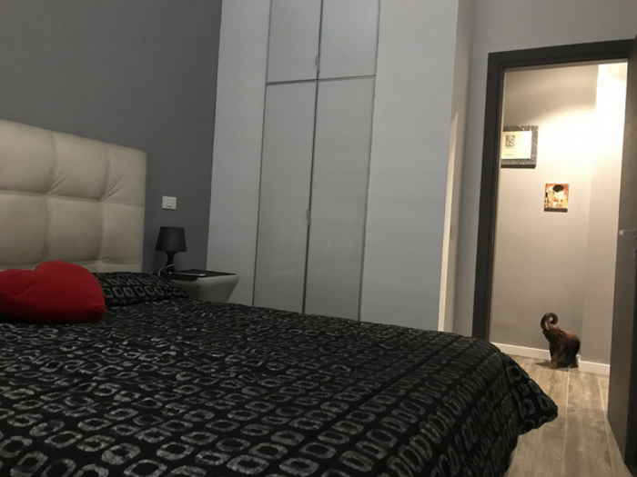 Archisio - Fata Architecture Design - Progetto House vv