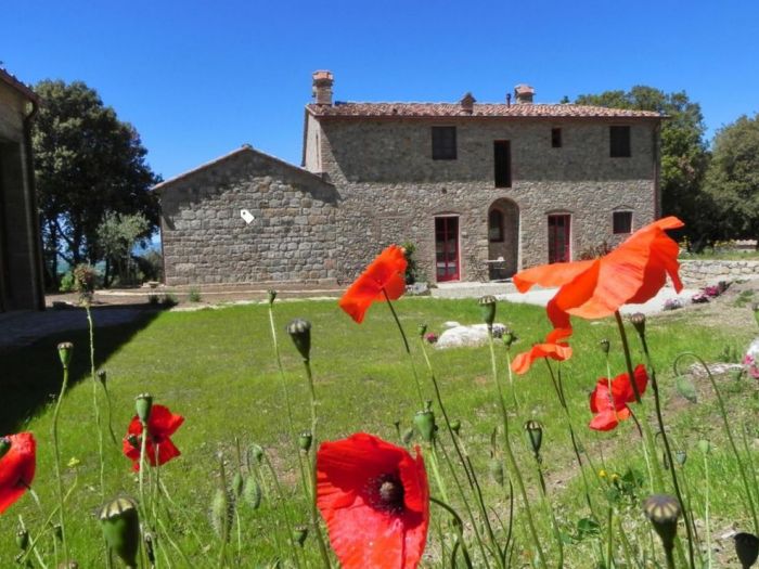 Archisio - Lorenzo Fusi - Progetto Ricostruzione borgo termale in toscana