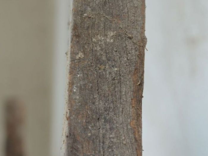 Archisio - Andrea Daguanno - Progetto Arredo