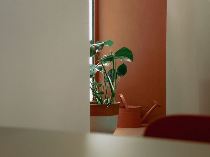 Archisio - Fico Creative Studio - Progetto Bistrot s