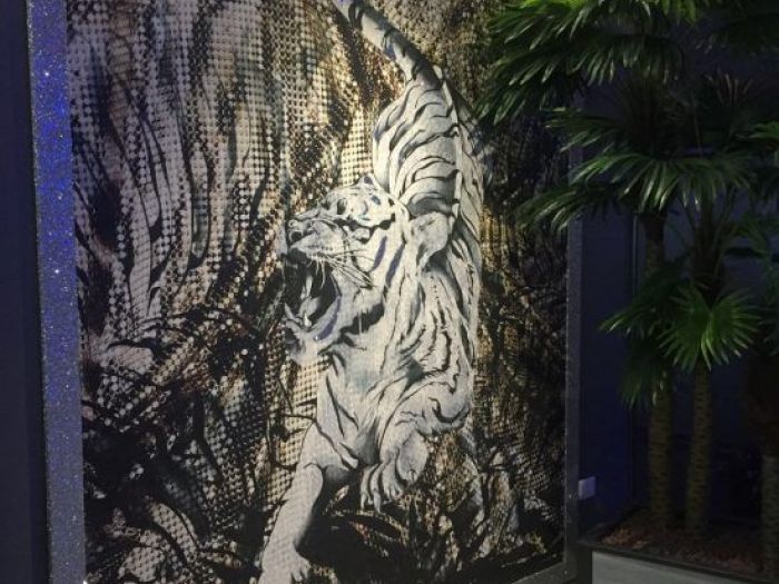 Archisio - Sofim Srl Soluzioni E Finiture Immobiliari - Progetto Carta da parati