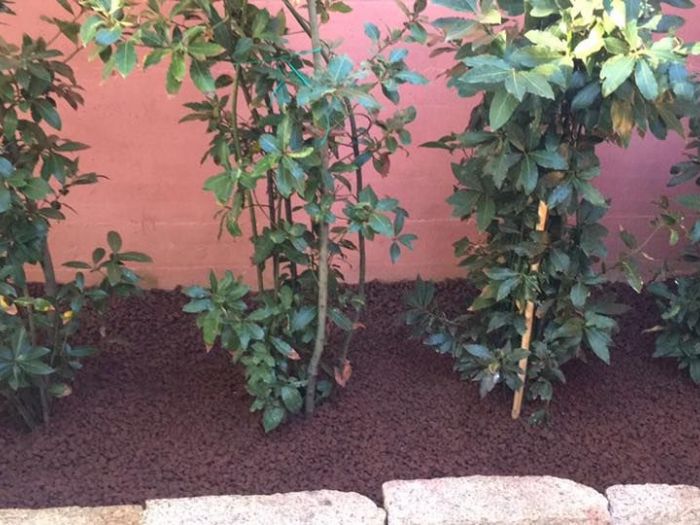 Archisio - Rocca Di Mezzo Srls - Progetto Giardini