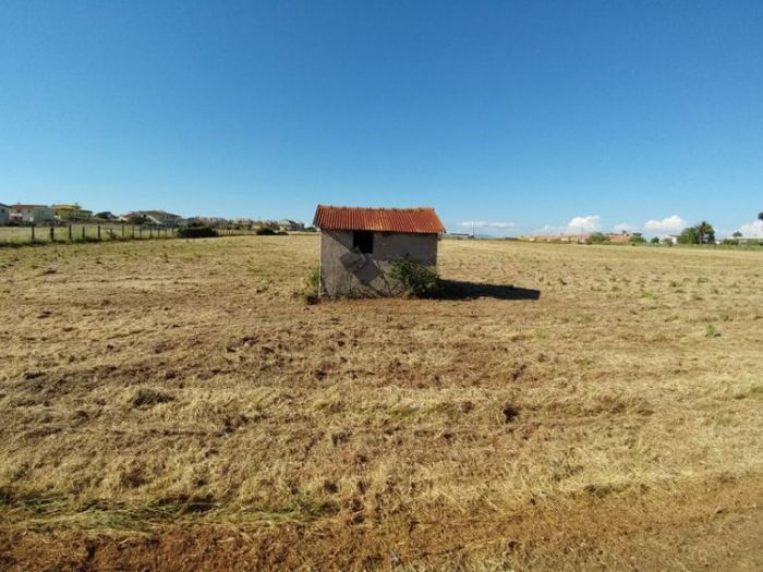 Archisio - Simone Paganelli - Progetto Quadra