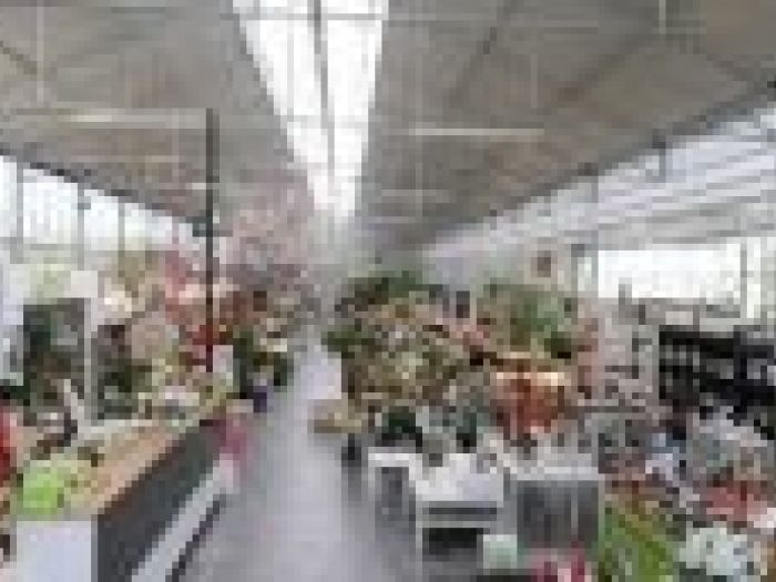 Archisio - Piante Macri - Progetto Il garden