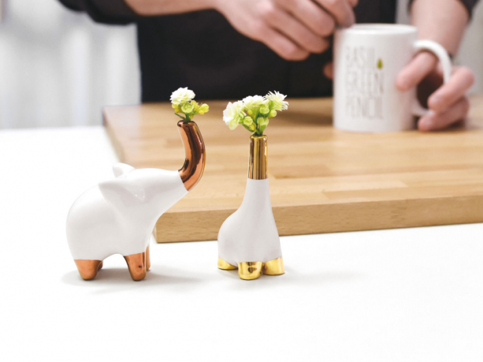 Archisio - Bgp Studio - Progetto Bgp-studio