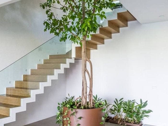 Archisio - Fabio Nassuato - Progetto Abitazione privata