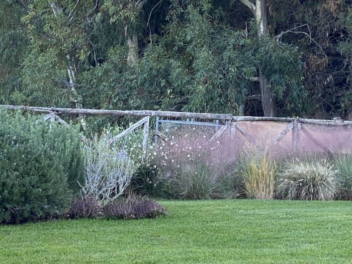 Archisio - Claudia Dibbe Piazza - Progetto Allinsegna di piet oudolf