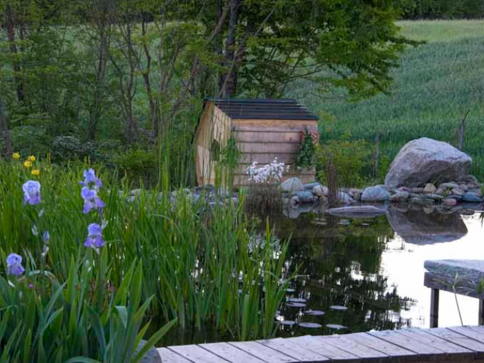 Archisio - Suingiardino Snc - Progetto Biopiscina