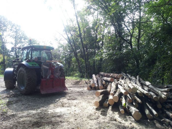 Archisio - Il Dottore Del Verde Di Bruno Barnaba - Progetto Utilizzazioni boschive