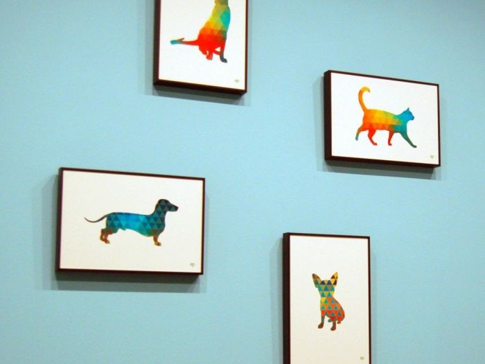 Archisio - Enviprojects - Progetto Grafiche per ambulatorio veterinario-vet ambulatory graphics