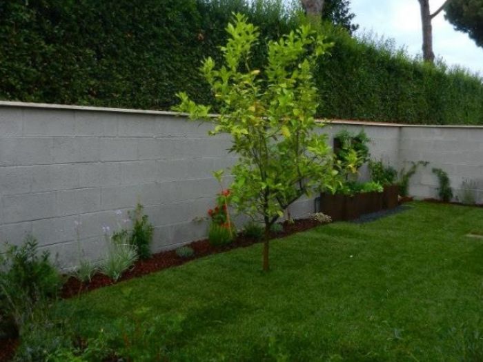 Archisio - Lucrezia Didonna - Progetto Casa al mare