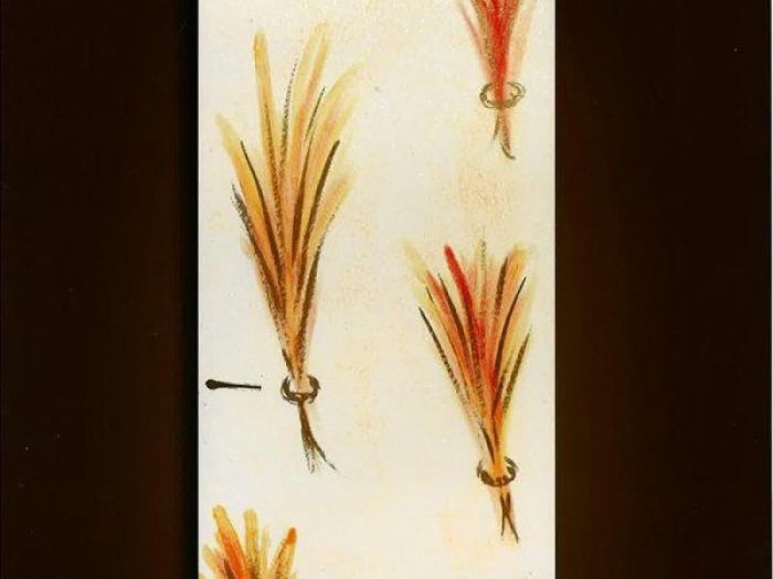 Archisio - Il Paradiso Della Parete - Progetto Porte decorate