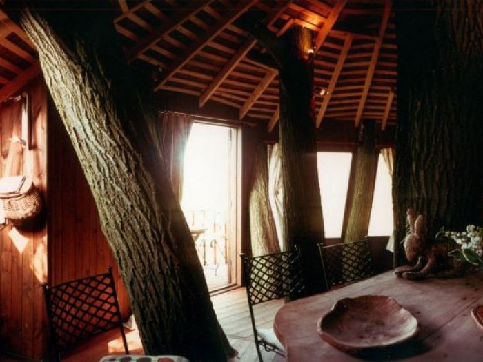 Archisio - White Oak Arkitecture By Thomas Allocca - Progetto Treehouses