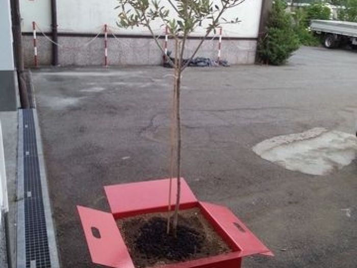 Archisio - El Fere - Progetto Arredo e complementi