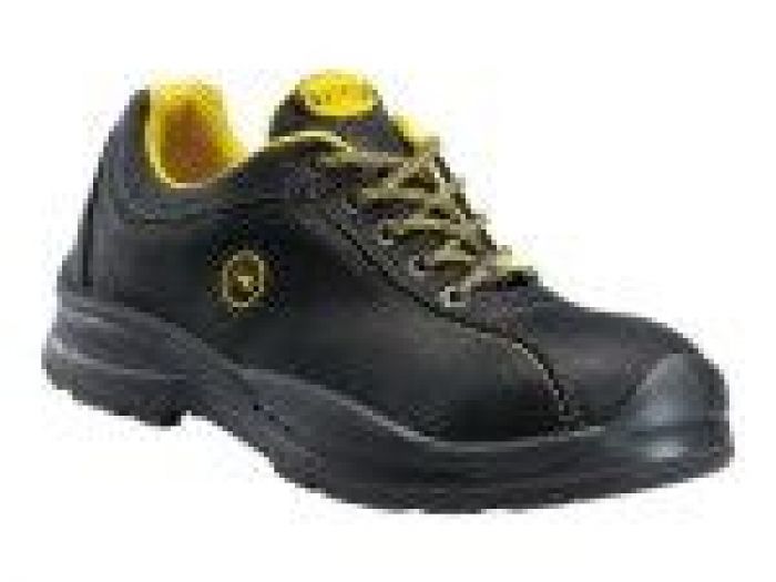 Archisio - Segnaletica Alessandrina - Progetto Abbigliamento per il lavoro