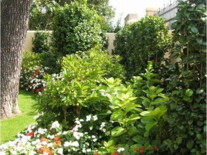 Archisio - Francesca Bertini - Progetto Villa patrizia