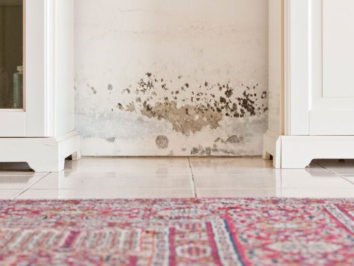 Archisio - Supershield - Progetto SUPERSHIELD