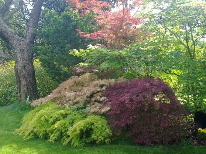 Archisio - Asti Garden - Progetto Creazioni giardino