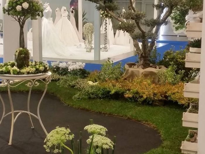 Archisio - Massarroni - Vivai Piante - Garden - Progetto Vivai e piante